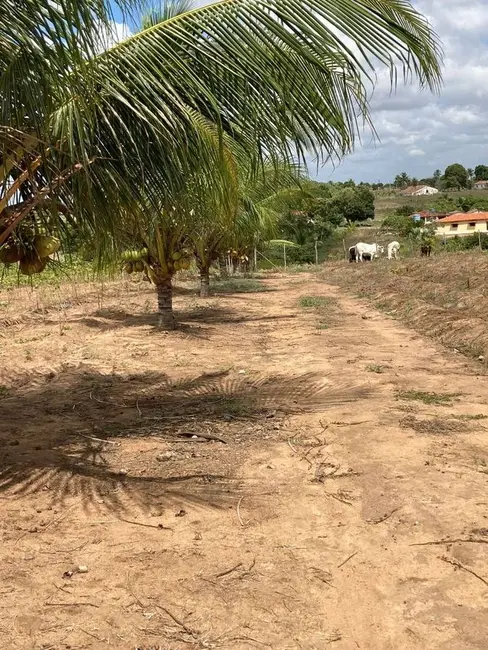 Foto 6 de Sítio / Rancho à venda, 140000m2 em Sobrado - PB