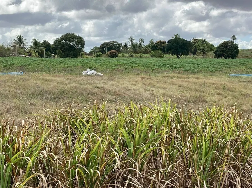 Foto 3 de Sítio / Rancho à venda, 140000m2 em Sobrado - PB