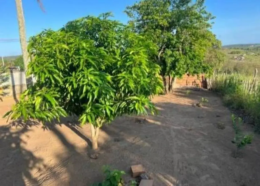 Foto 6 de Fazenda / Haras com 3 quartos à venda, 110000m2 em Centro, Bananeiras - PB