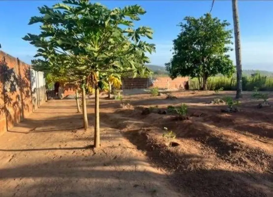 Foto 8 de Fazenda / Haras com 3 quartos à venda, 110000m2 em Centro, Bananeiras - PB