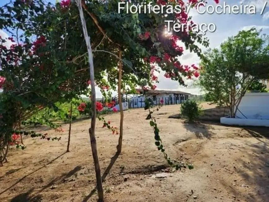 Foto 9 de Sítio / Rancho com 3 quartos à venda, 16777215m2 em Centro, Mulungu - PB