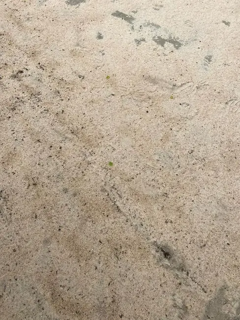 Foto 2 de Sítio / Rancho com 3 quartos à venda, 350m2 em Rio Tinto - PB