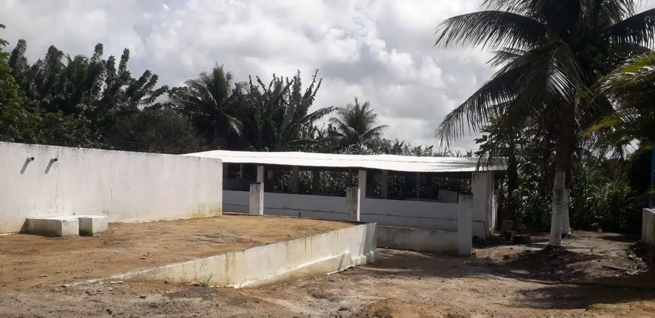 Foto 7 de Sítio / Rancho com 3 quartos à venda, 100000m2 em Centro, Caapora - PB