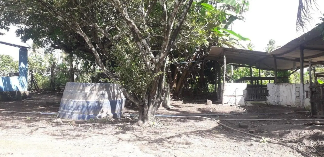Foto 8 de Sítio / Rancho com 3 quartos à venda, 100000m2 em Centro, Caapora - PB