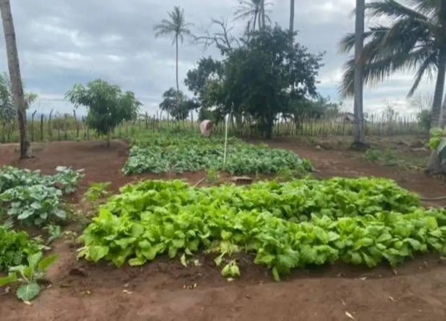 Foto 2 de Terreno / Lote com 2 quartos à venda, 10000m2 em Bananeiras - PB
