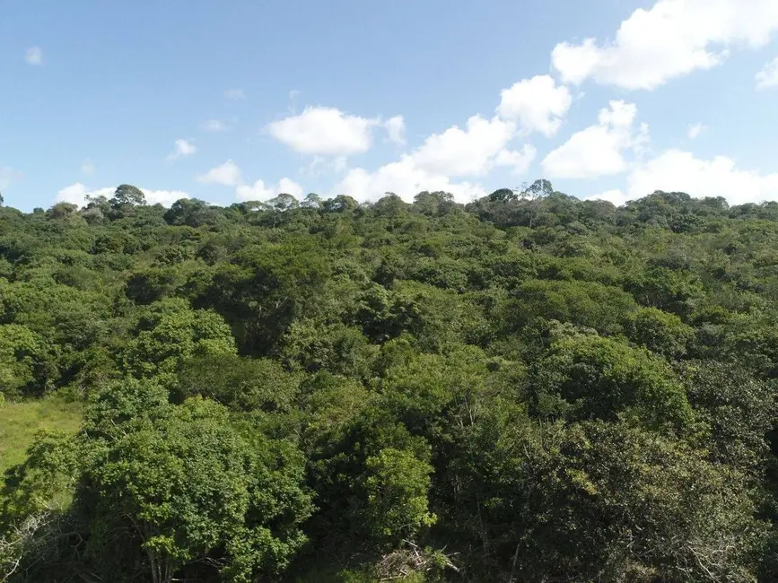 Foto 6 de Sítio / Rancho com 6 quartos à venda, 625m2 em Mamanguape - PB