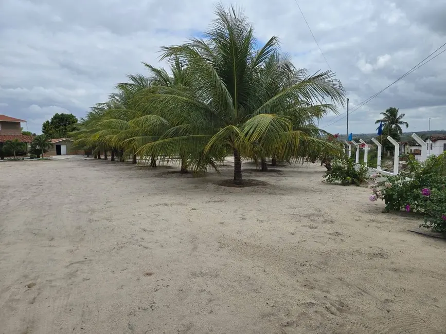 Foto 6 de Sítio / Rancho com 3 quartos à venda em Centro, Riachao Do Poco - PB