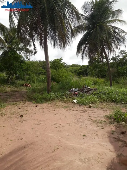 Chácara à venda, 4641m2 em Guajiru, Sao Goncalo Do Amarante - RN - imagem 6 Foto 6 de Chácara à venda, 4641m2 em Guajiru, Sao Goncalo Do Amarante - RN