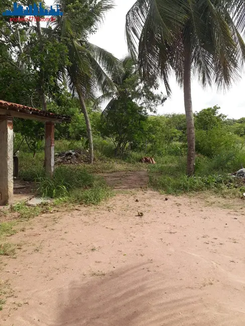 Chácara à venda, 4641m2 em Guajiru, Sao Goncalo Do Amarante - RN - imagem 8 Foto 8 de Chácara à venda, 4641m2 em Guajiru, Sao Goncalo Do Amarante - RN