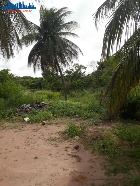 Chácara à venda, 4641m2 em Guajiru, Sao Goncalo Do Amarante - RN - imagem 9 Foto 9 de Chácara à venda, 4641m2 em Guajiru, Sao Goncalo Do Amarante - RN