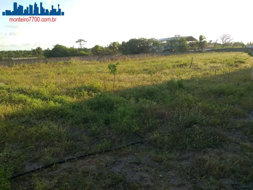 Terreno / Lote à venda, 8000m2 em Guajiru, Sao Goncalo Do Amarante - RN - imagem 9 Foto 9 de Terreno / Lote à venda, 8000m2 em Guajiru, Sao Goncalo Do Amarante - RN