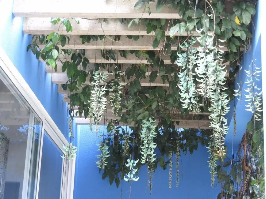 Foto 6 de Chácara com 3 quartos à venda, 1000m2 em Terras de Itaici, Indaiatuba - SP