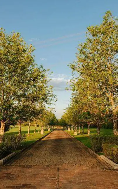 Foto 7 de Terreno / Lote à venda, 479m2 em Indaiatuba - SP