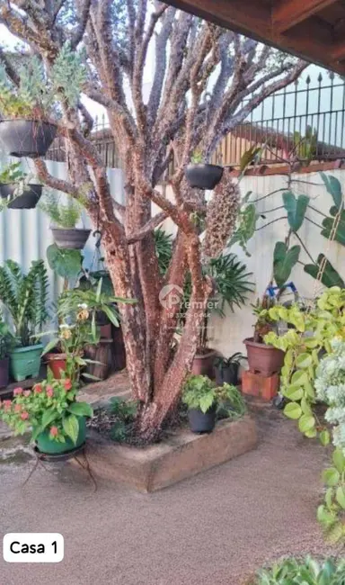 Foto 6 de Casa com 3 quartos à venda, 420m2 em Cidade Nova I, Indaiatuba - SP