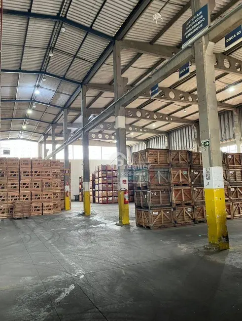 Foto 8 de Armazém / Galpão para alugar, 4000m2 em Recreio Campestre Jóia, Indaiatuba - SP