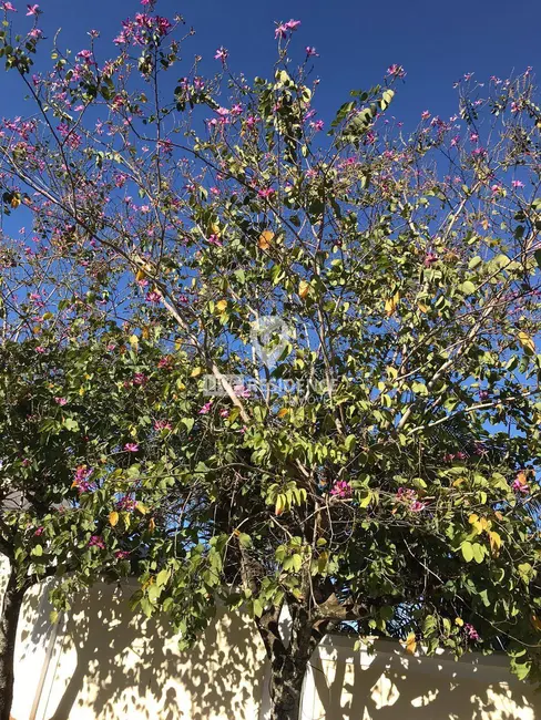 Foto 8 de Casa de Condomínio com 3 quartos à venda, 468m2 em São Joaquim, Vinhedo - SP