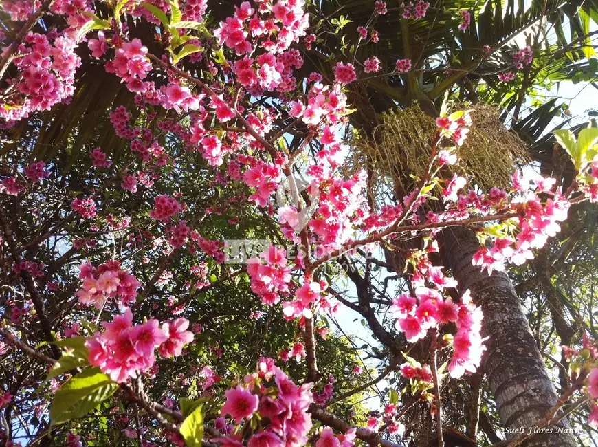 Foto 9 de Casa com 3 quartos à venda, 328m2 em Loteamento Santo Antônio, Itatiba - SP
