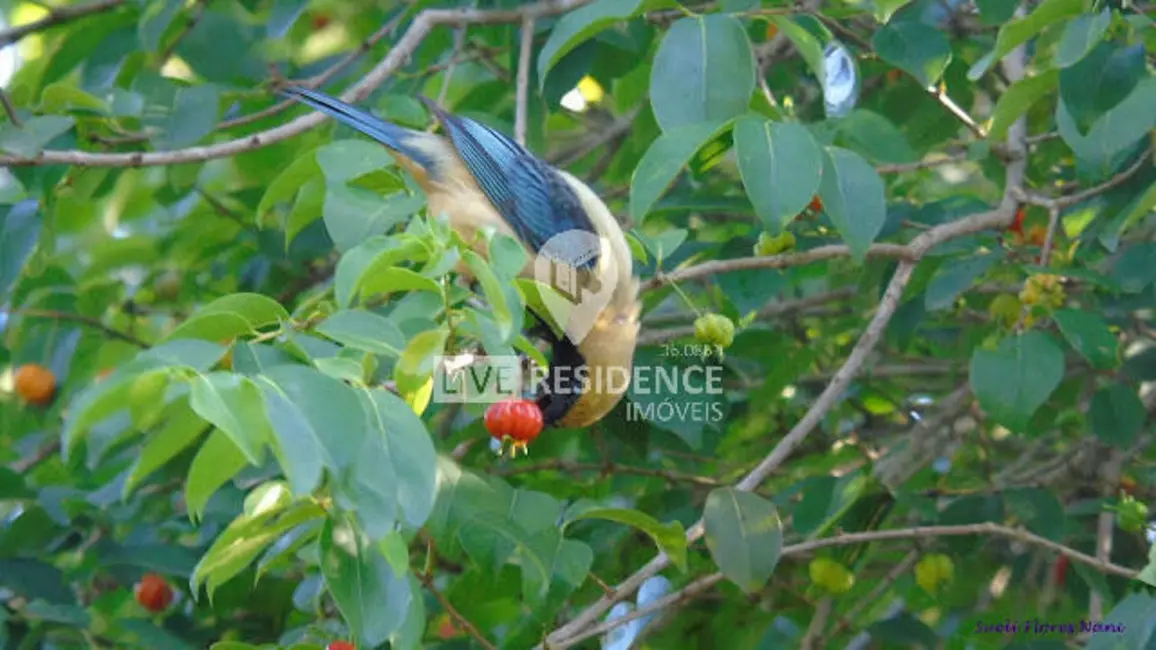 Foto 2 de Casa com 3 quartos à venda, 328m2 em Loteamento Santo Antônio, Itatiba - SP