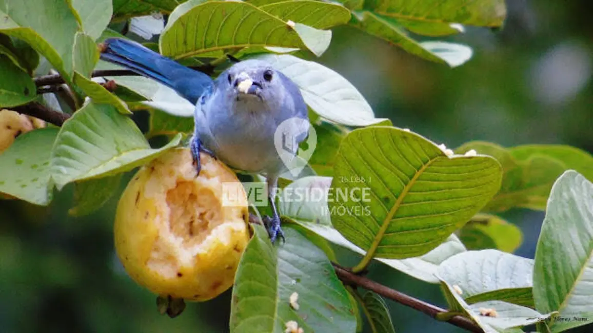 Foto 7 de Casa com 3 quartos à venda, 328m2 em Loteamento Santo Antônio, Itatiba - SP