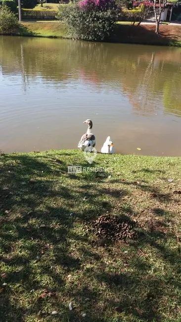 Foto 5 de Casa de Condomínio com 3 quartos à venda, 249m2 em Ville Chamonix, Itatiba - SP