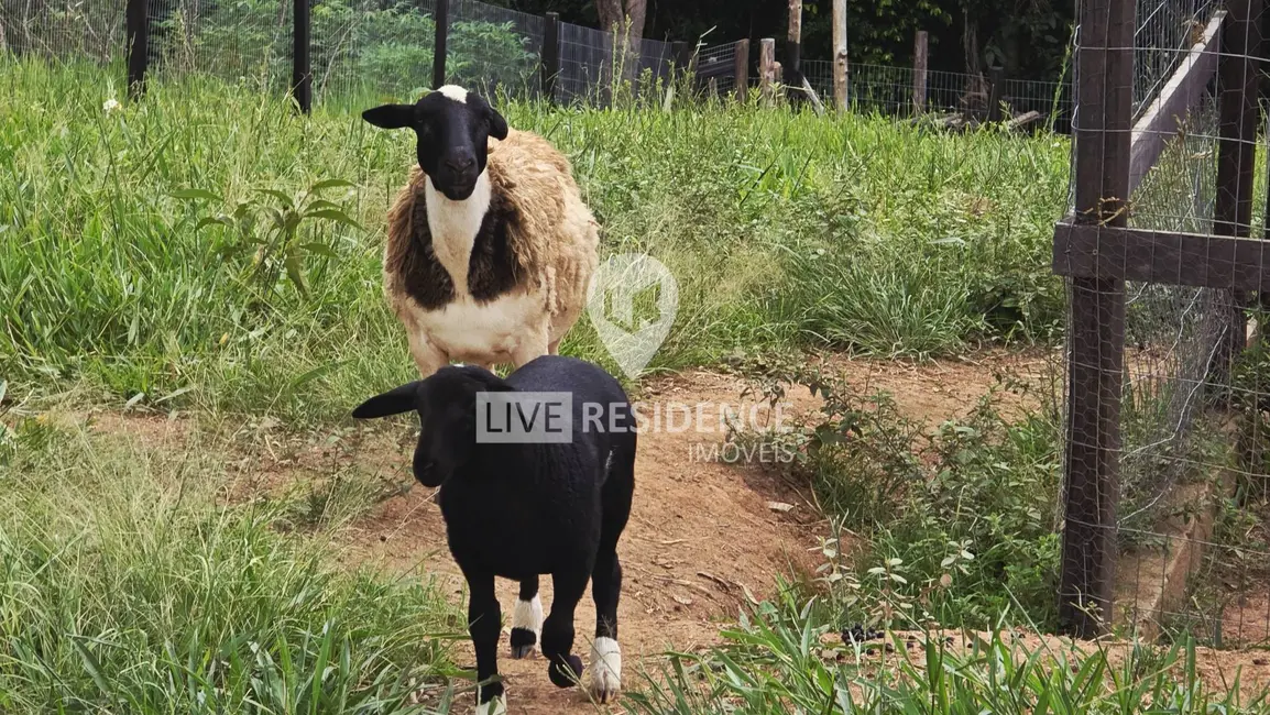 Foto 8 de Sítio / Rancho com 6 quartos à venda, 600m2 em Bairro Pedras de Ouro, Itatiba - SP