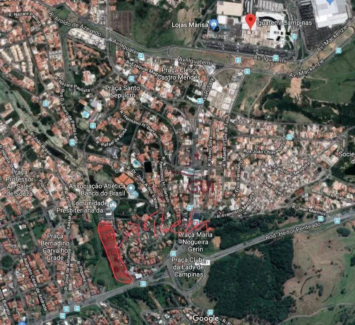 Foto 7 de Terreno / Lote para alugar, 3000m2 em Vila Brandina, Campinas - SP