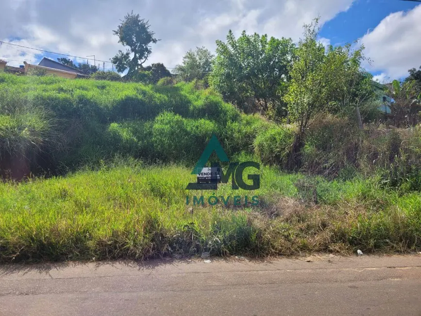 Foto 4 de Terreno / Lote à venda, 245m2 em Tres Coracoes - MG