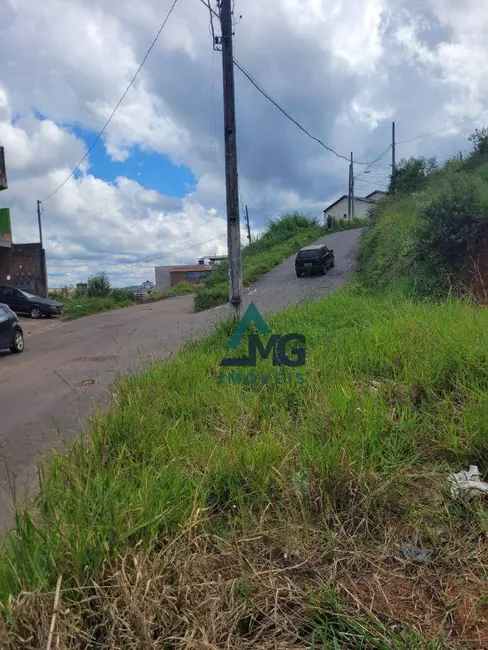 Foto 5 de Terreno / Lote à venda, 245m2 em Tres Coracoes - MG
