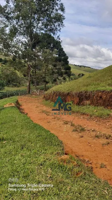 Foto 1 de Sítio / Rancho com 3 quartos à venda em Cruzilia - MG