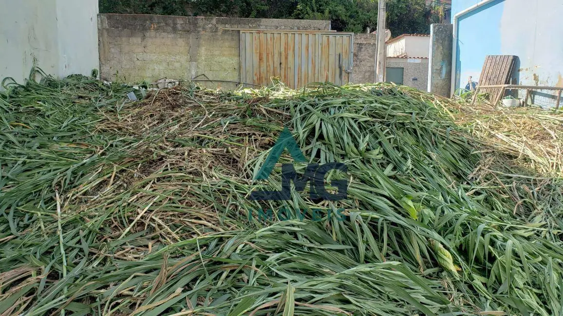 Foto 6 de Terreno / Lote à venda, 205m2 em Tres Coracoes - MG