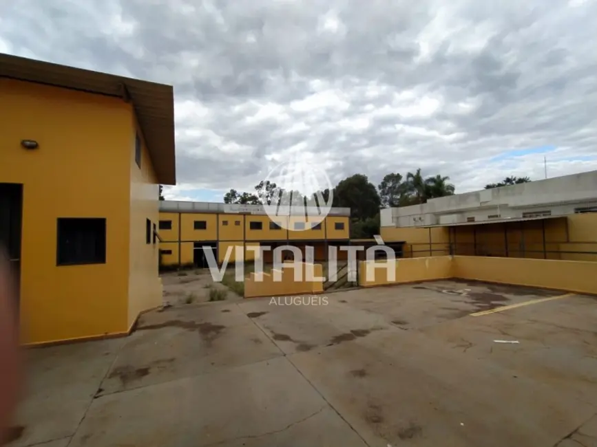 Fazenda / Haras para alugar, 1137m2 em Jardim Sumaré, Ribeirao Preto - SP - imagem 4 Foto 4 de Fazenda / Haras para alugar, 1137m2 em Jardim Sumaré, Ribeirao Preto - SP
