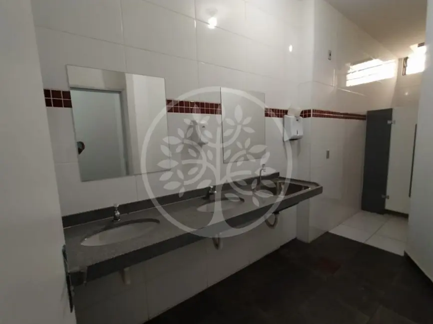 Sala Comercial para alugar, 1645m2 em Jardim América, Ribeirao Preto - SP - imagem 6 Foto 6 de Sala Comercial para alugar, 1645m2 em Jardim América, Ribeirao Preto - SP