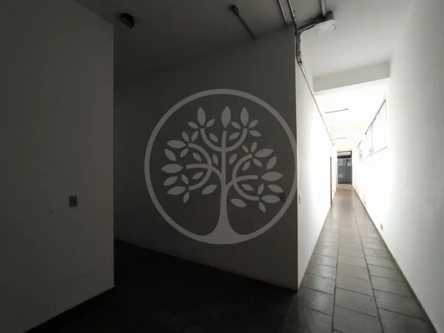 Sala Comercial para alugar, 1645m2 em Jardim América, Ribeirao Preto - SP - imagem 7 Foto 7 de Sala Comercial para alugar, 1645m2 em Jardim América, Ribeirao Preto - SP