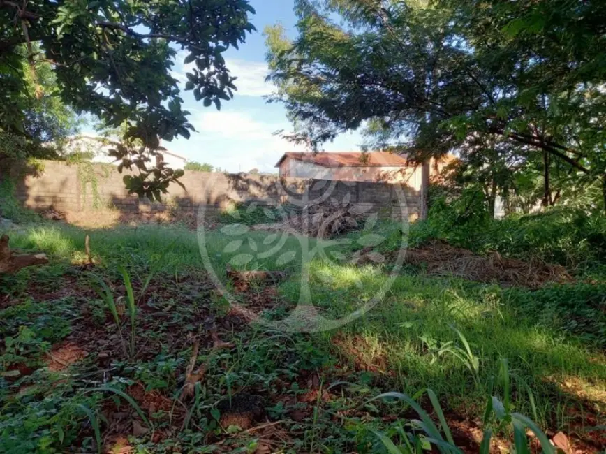 Fazenda / Haras para alugar em Ribeirânia, Ribeirao Preto - SP - imagem 4 Foto 4 de Fazenda / Haras para alugar em Ribeirânia, Ribeirao Preto - SP