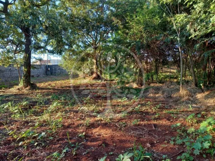 Foto 2 de Fazenda / Haras para alugar em Ribeirânia, Ribeirao Preto - SP