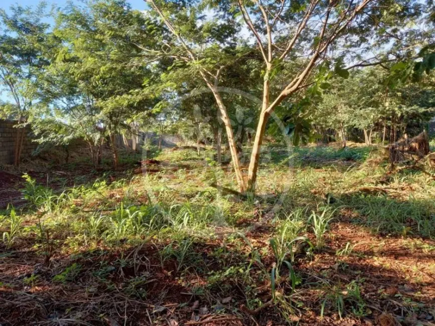 Fazenda / Haras para alugar em Ribeirânia, Ribeirao Preto - SP - imagem 3 Foto 3 de Fazenda / Haras para alugar em Ribeirânia, Ribeirao Preto - SP