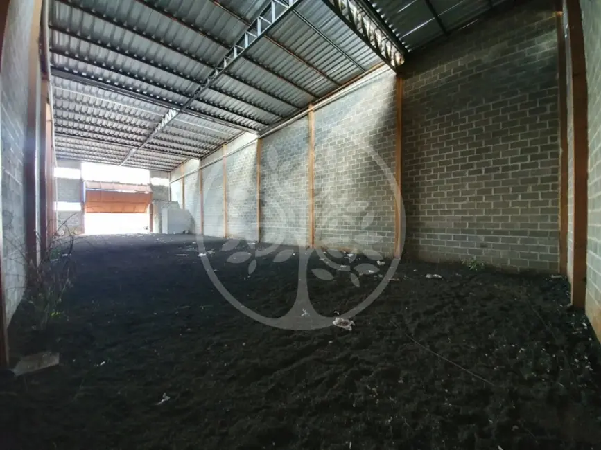 Sala Comercial para alugar, 320m2 em Jardim Zara, Ribeirao Preto - SP - imagem 5 Foto 5 de Sala Comercial para alugar, 320m2 em Jardim Zara, Ribeirao Preto - SP