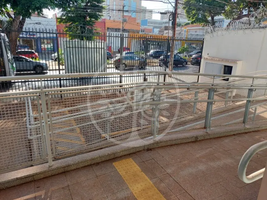 Sala Comercial para alugar, 460m2 em Jardim Sumaré, Ribeirao Preto - SP - imagem 3 Foto 3 de Sala Comercial para alugar, 460m2 em Jardim Sumaré, Ribeirao Preto - SP