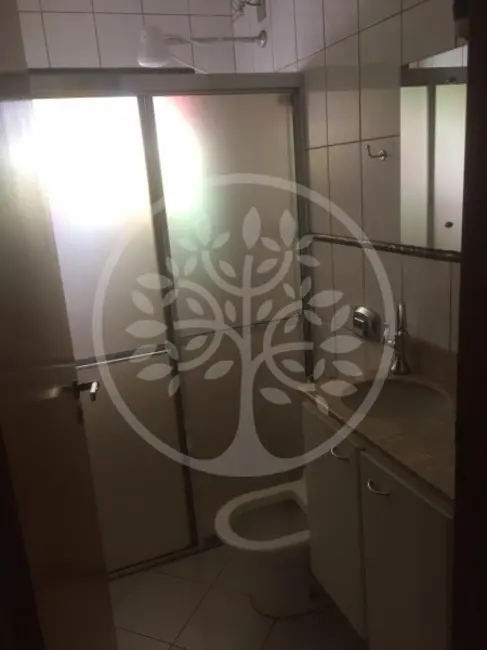 Foto 7 de Apartamento com 3 quartos para alugar, 72m2 em Jardim Irajá, Ribeirao Preto - SP