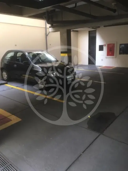 Foto 8 de Apartamento com 3 quartos para alugar, 72m2 em Jardim Irajá, Ribeirao Preto - SP