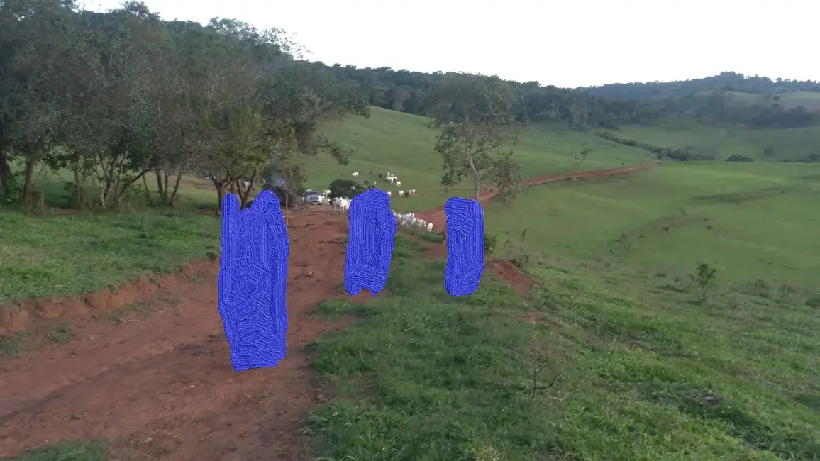 Fazenda / Haras à venda em Sao Lourenco - MG - imagem 6 Foto 6 de Fazenda / Haras à venda em Sao Lourenco - MG