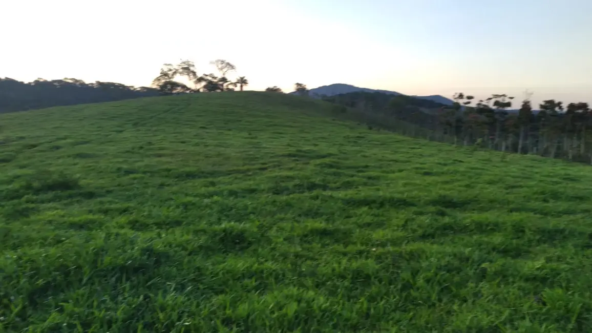 Fazenda / Haras à venda em Sao Lourenco - MG - imagem 5 Foto 5 de Fazenda / Haras à venda em Sao Lourenco - MG