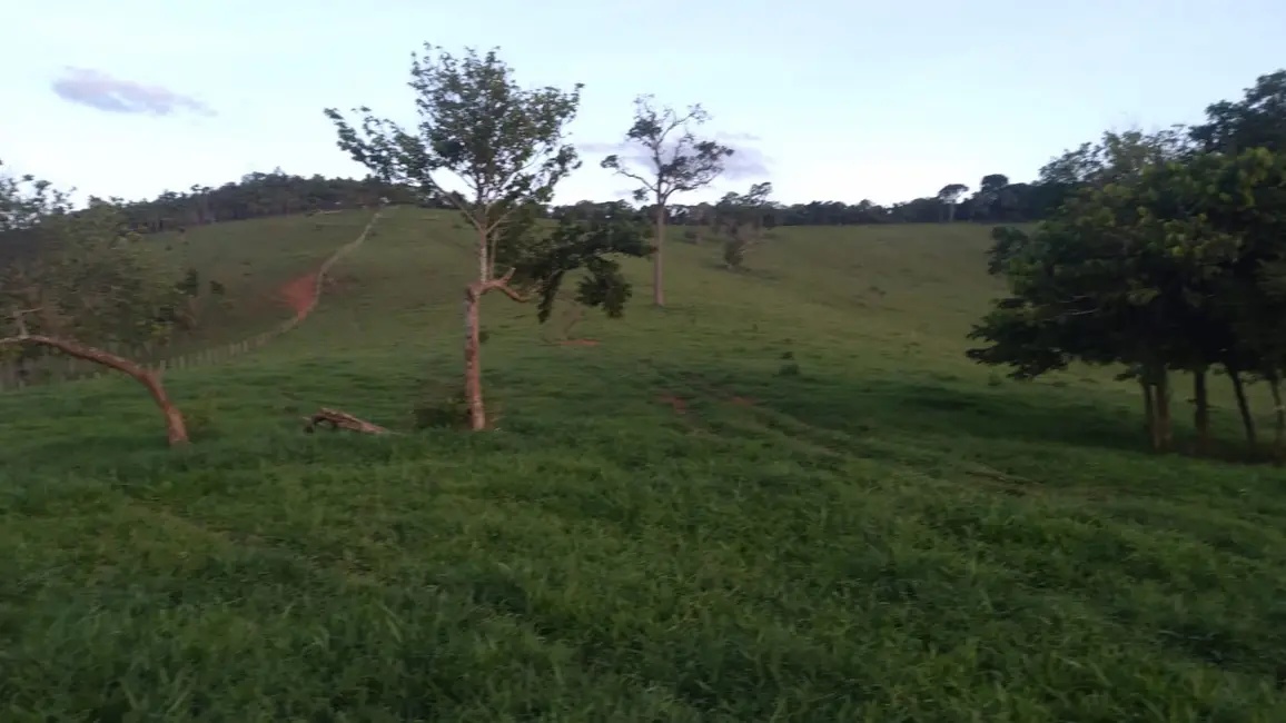 Fazenda / Haras à venda em Sao Lourenco - MG - imagem 8 Foto 8 de Fazenda / Haras à venda em Sao Lourenco - MG