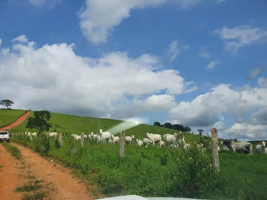 Foto 6 de Fazenda / Haras à venda em Congonhal - MG