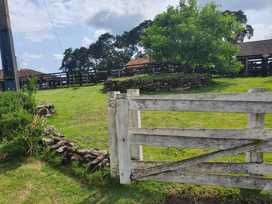 Foto 4 de Fazenda / Haras à venda em Congonhal - MG