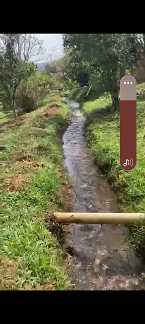 Foto 7 de Chácara com 3 quartos à venda em Congonhal - MG