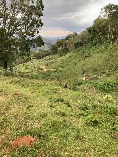 Foto 6 de Terreno / Lote à venda, 84700m2 em Congonhal - MG