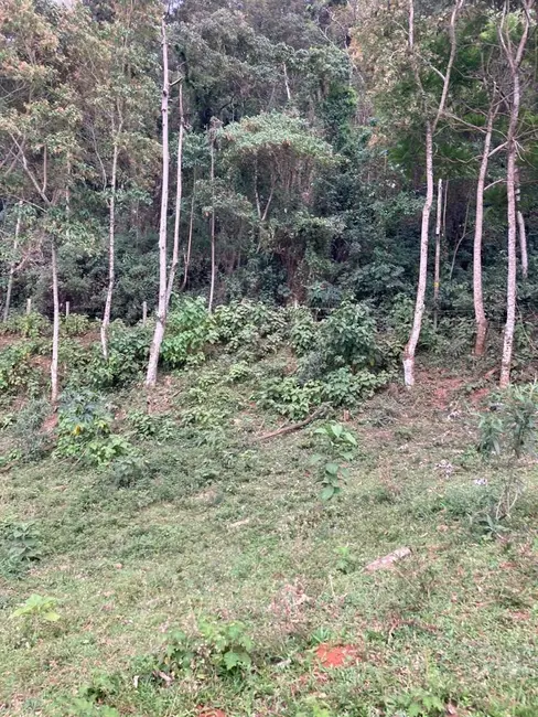 Foto 5 de Terreno / Lote à venda, 84700m2 em Congonhal - MG