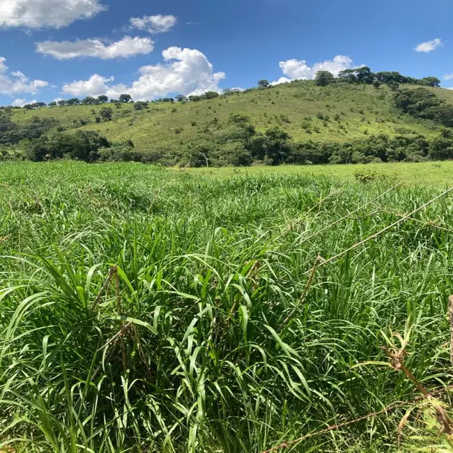 Foto 9 de Fazenda / Haras à venda em Silvianopolis - MG
