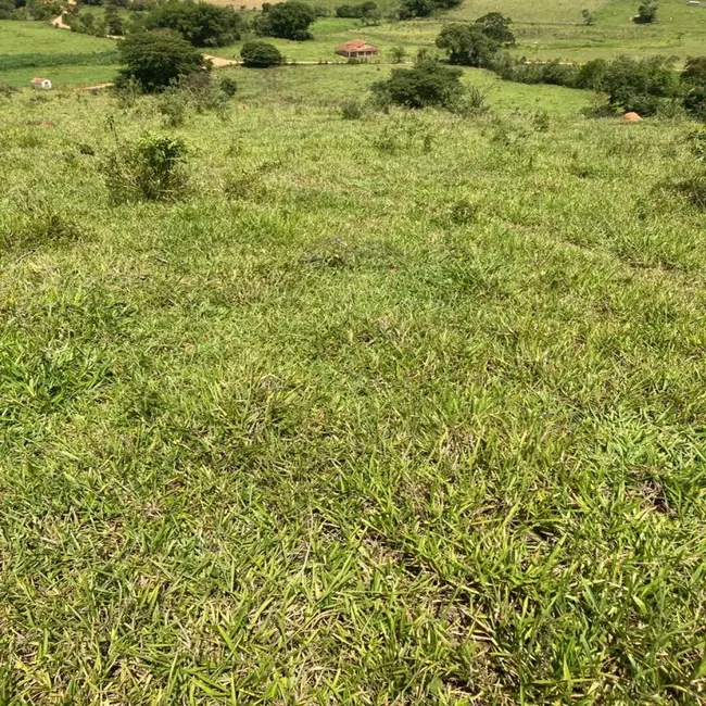 Foto 6 de Fazenda / Haras à venda em Silvianopolis - MG